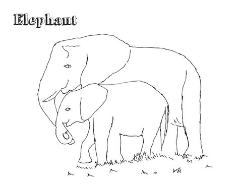 They just love to draw these creatures or spend hours filling in the elephant coloring pages with vibrant shades. Free Printable Elephant Coloring Pages For Kids