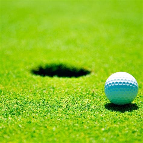 Lush Green Golf Course Grass Wallpaper Maxipx