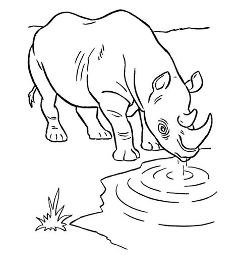 African Rhino Template Zoo Animal Coloring Pages Elephant Coloring