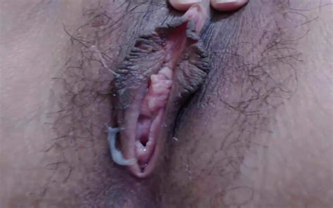 Close Up Hairy Pussy Creampie Free Xxx Free Pussy Hd Porn