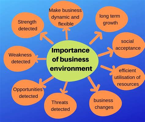 Importance Of Business Environment With Example