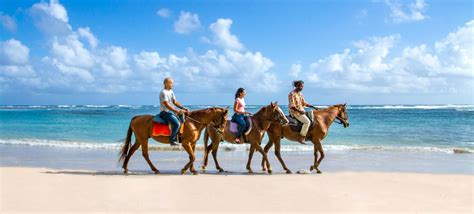 Relaxation And Adventure In Barbados Caribtours