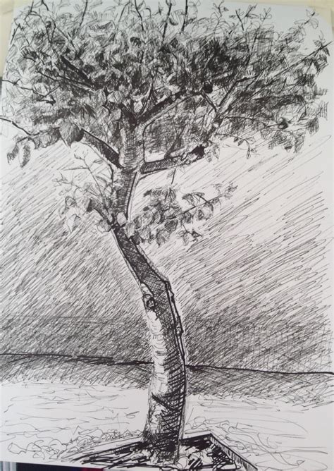 Exercises – Part 3 Drawing Outdoors | BA (hons) Degree ...