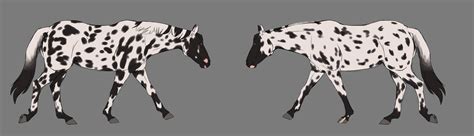 Ramon Reference Sheet By Xvenomsparkx On Deviantart