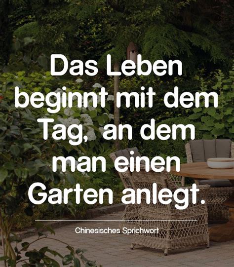 We did not find results for: Ein chinesisches Sprichwort besagt: Das Leben beginnt mit ...