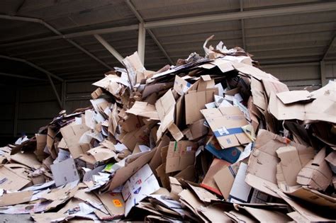 ¿cómo Es El Proceso De Reciclaje Del Papel Y Cartón Daine Ambiental