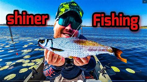How To Fish For Bass With Live Bait In Florida With Massive Bait