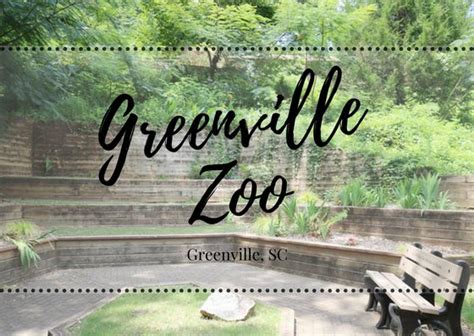 The Words Greenville Zoo Are In Front Of An Image Of A Park Bench And