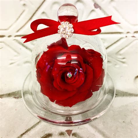 Real Preserved Rose In A Glass Dome £15 Thebloomingflowerbox