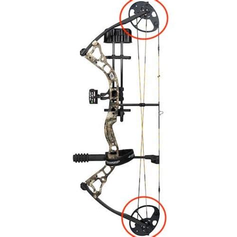 The Best Beginner Compound Bow Tested Reviewed