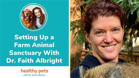 Setting Up A Farm Animal Sanctuary With Dr Faith Albright Youtube