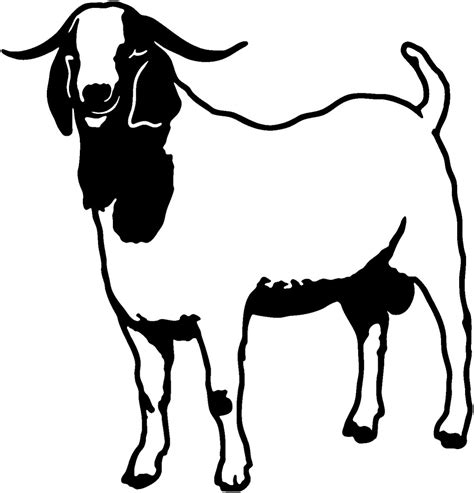 Boer Goat Clipart Free Download On Clipartmag