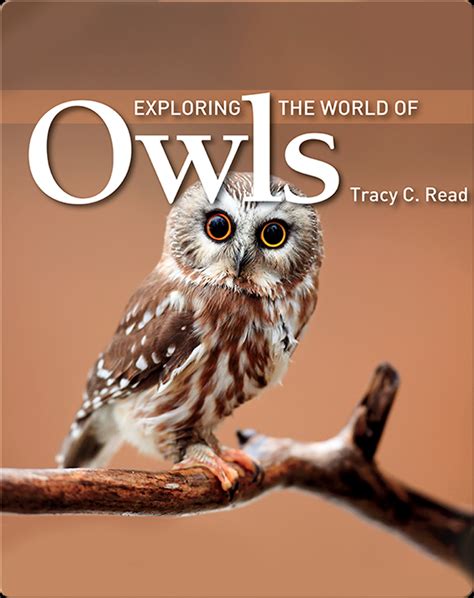 Exploring The World Of Owls Childrens Book By Tracy C Read Discover