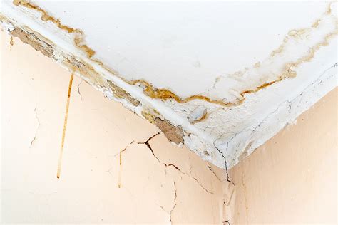 5 Signs A Roof Leak Is Happening In Your Home