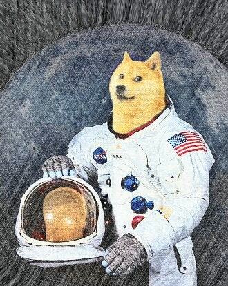 Holding so one day when i'm old af i can look back and say i made $$$ off an originally made meme coin during pandemic to the history books boys. Ready for schedules journey to the moon ! ( here's another image you can use to promote Dogecoin ...