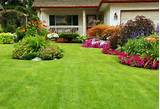 Pictures of Front Yard Landscape Ideas