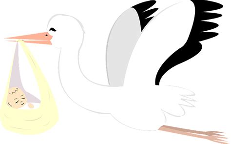 Stork Is Delivering A Baby Clipart Free Download Transparent Png