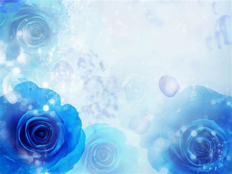 Blue Roses Wallpapers Wallpaper Cave