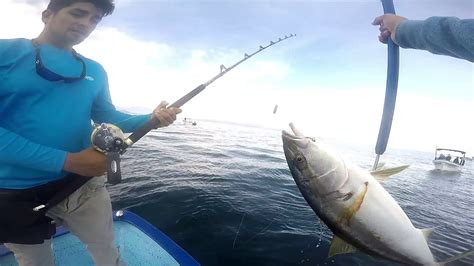 Pesca De Jurel Aleta Amarilla Youtube