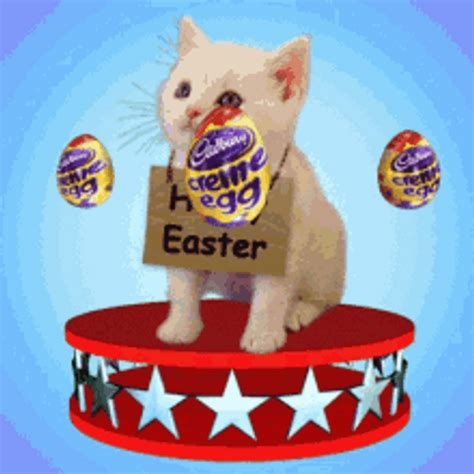 Animated Happy Easter Cat With Spinning Eggs 