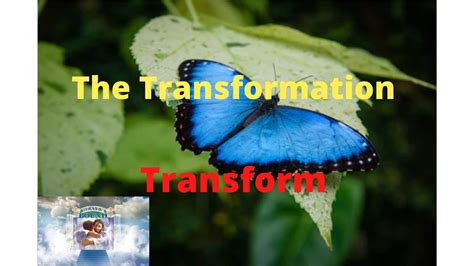 The Transformation Butterfly Transform Youtube