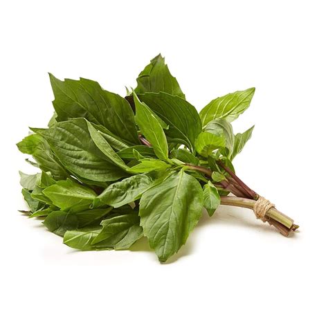 Herb Basil Thai