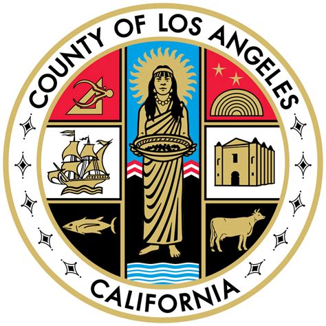 Access County Of Los Angeless Government Services Online Papergov