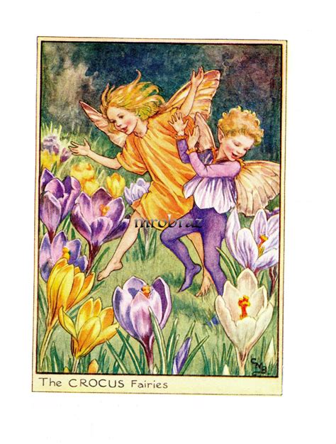 Beautiful Flower Fairy Print The Crocus Fairies Vintage Etsy