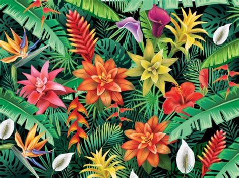 Jun 14, 2021 · looking for the tropics with a little bit of glimmer, this glam tropical backyard pool party by destiny cannon of bubbly & company, is sure to deliver! Kids Printable Rainforest Flowers » Tinkytyler.org - Stock ...