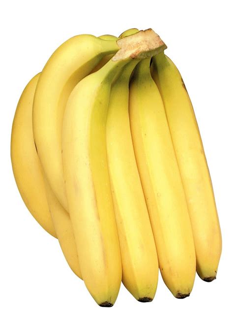 Bunch Of Bananas Isolated Prepared Food Photos Inc