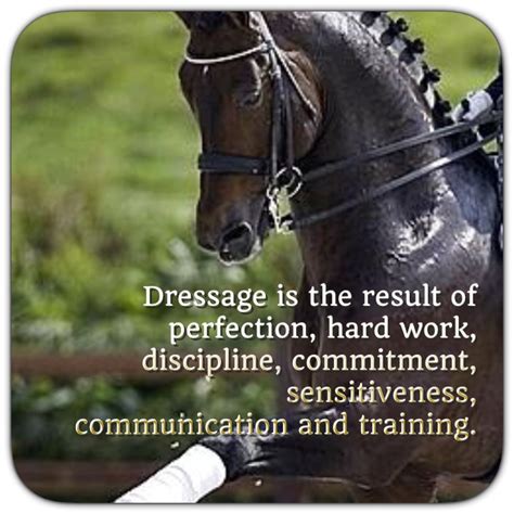 Find, read, and share dressage quotations. Dressage is the result of perfection, hard work, discipline, commitment, sensitiveness ...