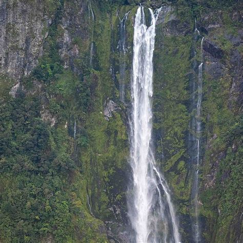Stirling Falls Milford Sound All You Need To Know Before You Go
