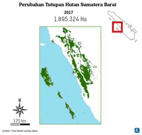 Empat Tahun Sumatera Barat Kehilangan Hektar Tutupan Hutan