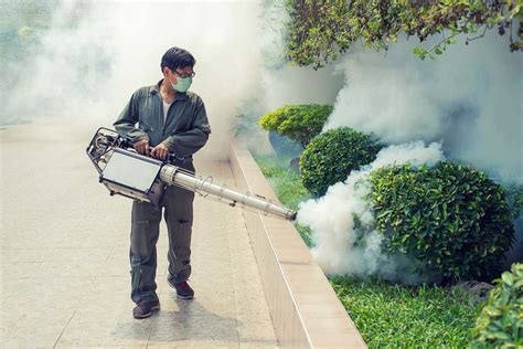 Danielowner of mantou & friends. The Top 10 Pest Control Companies in Singapore | The Pest Guru