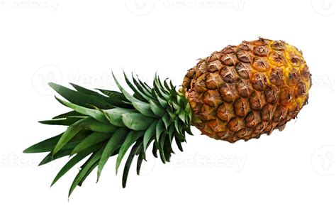 Pineapple Png Transparent Background 29712900 Png