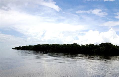Sebanyak 48 kabupaten/kota dengan asesmen situasi pandemi level 4 dan 74 kabupaten/kota dengan asesmen situasi pandemi level 3 di jawa bali menjadi target penerapan kebijakan itu. Sebagian Hutan Lindung di Pesisir OKI Diserahkan Kepada Masyarakat, Berkah atau Ancaman ...