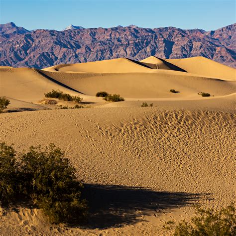 Death Valley Sand Dunes Photograph For Sale As Fine Art