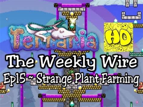 Sep 05, 2020 · xkjgx91's strange plant mega farm. Terraria The Weekly Wire Ep15 Strange Plant Guide | 1.3 ...