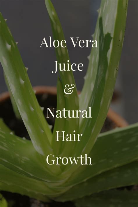 It may also help reduce. Aloe Vera Juice and Natural Hair Growth - Curly Chic