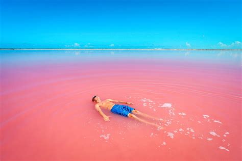 Hillier A Mystic Pink Lake In Australia We Travel Guides