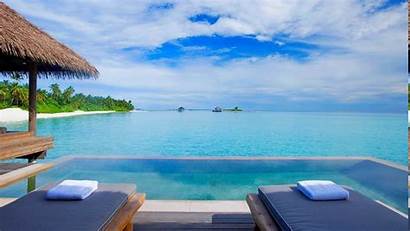 Pool Resort Maldives Swimming Tropical Palm Landscape