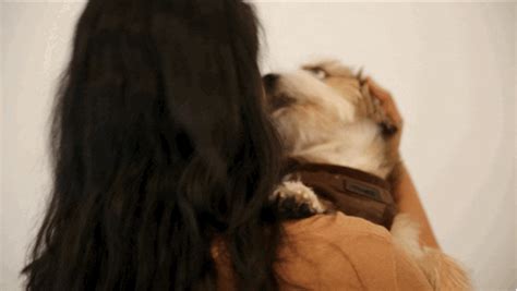 What Your Dog Kissing Style Is Based On Your Zodiac Sign Barkpost