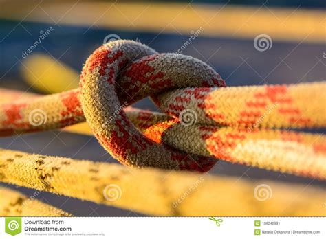 Closeup Stretched And Tied Industrial Braided Rope Stock Image Image