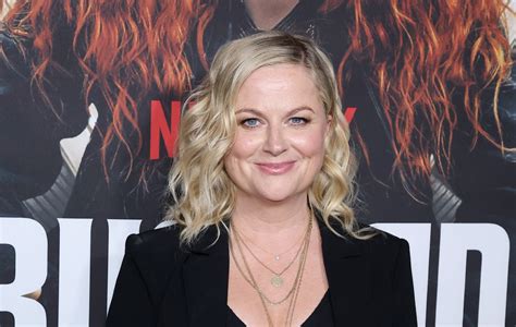 Amy Poehler Says Shes Down For ‘parks And Recreation Reboot