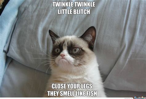 Twinkle Twinkle Little Star Grumpy Cat Wersion Grumpy Cat Grumpy Cat
