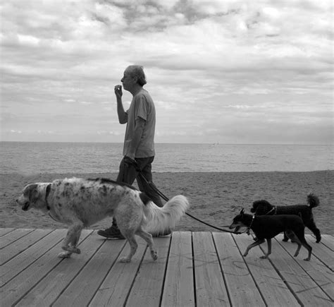 Best friend quotes and sayings: Man's Best Friends | Mans best friend, Best friends, Animals