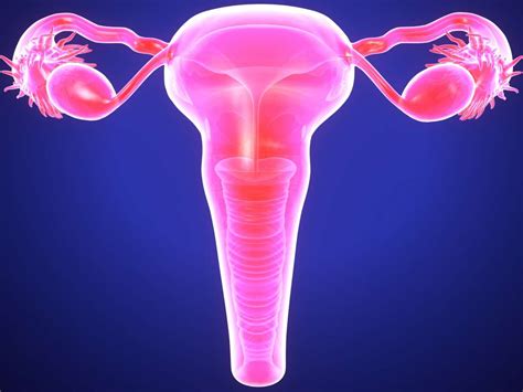 Most often this is on the ovaries, fallopian tubes, and tissue around the uterus and ovaries; Cervical endometriosis: Symptoms, diagnosis, and complications