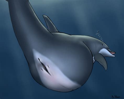 Rule 34 Anatomically Correct Anus Belly Blue Eyes Bubble Cetacean
