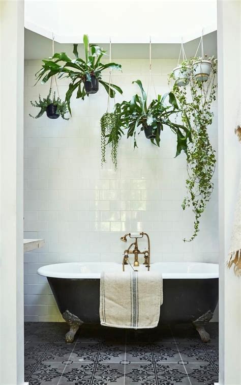 10 Plants In The Bathroom Ideas Decoomo