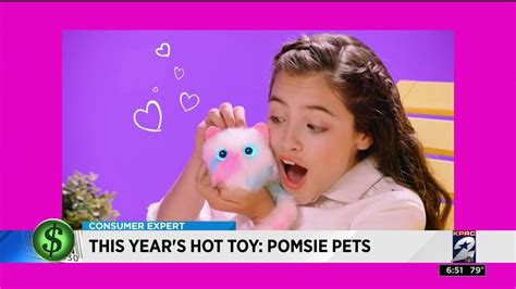 Are Pomsies The New Hot Holiday Toy Youtube